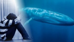 Reconhecer jogo da baleia azul em adolescentes