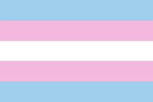 Bandeira Transgenero