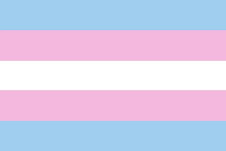 Bandeira Transgenero