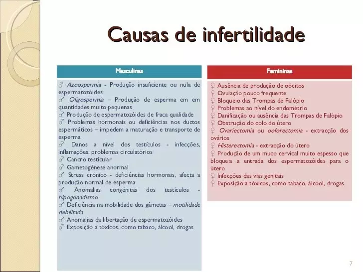 Reprodução Assistida Psicóloga Especialista