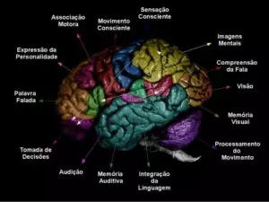 Avaliação Neuropsicológica Psicólogo Especializado USP